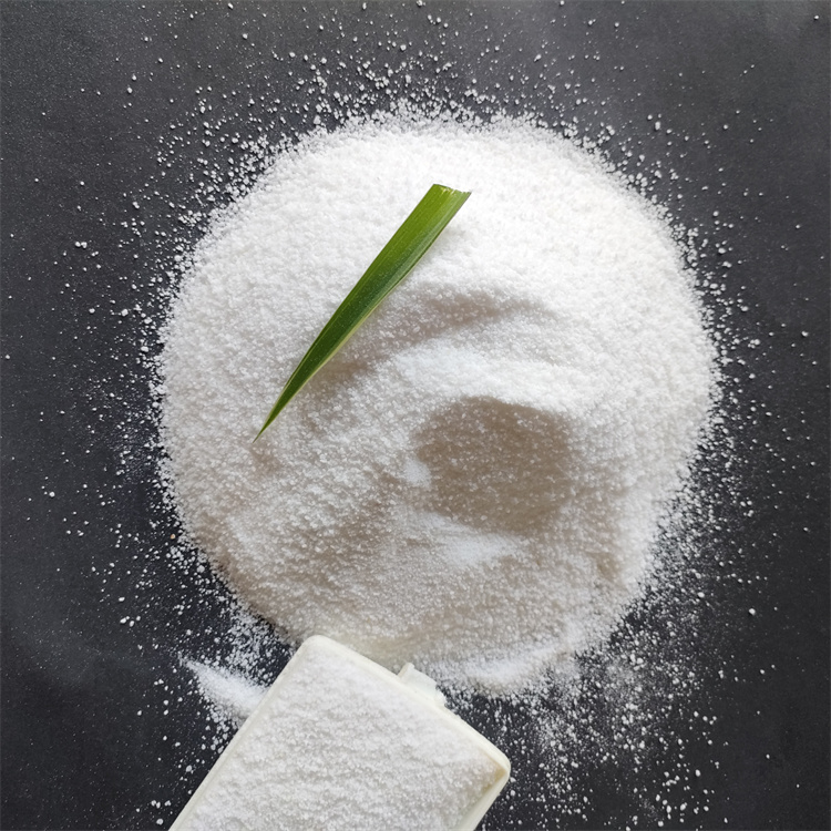 �۱�ϩ����