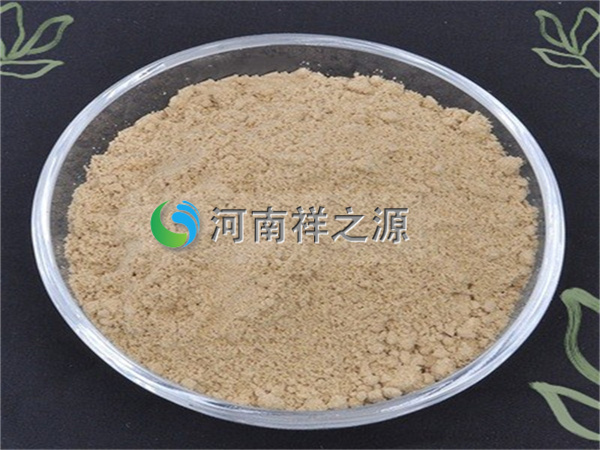 ���������ʹ�Å���