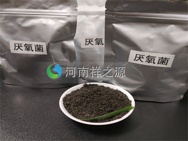 �~����​������